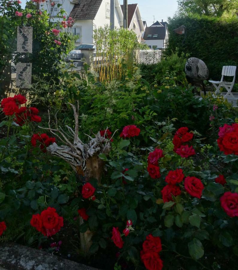 Gite Du Heron La Wantzenau Bagian luar foto